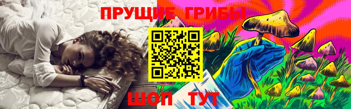 Галлюциногенные грибы Psilocybine cubensis Вольск