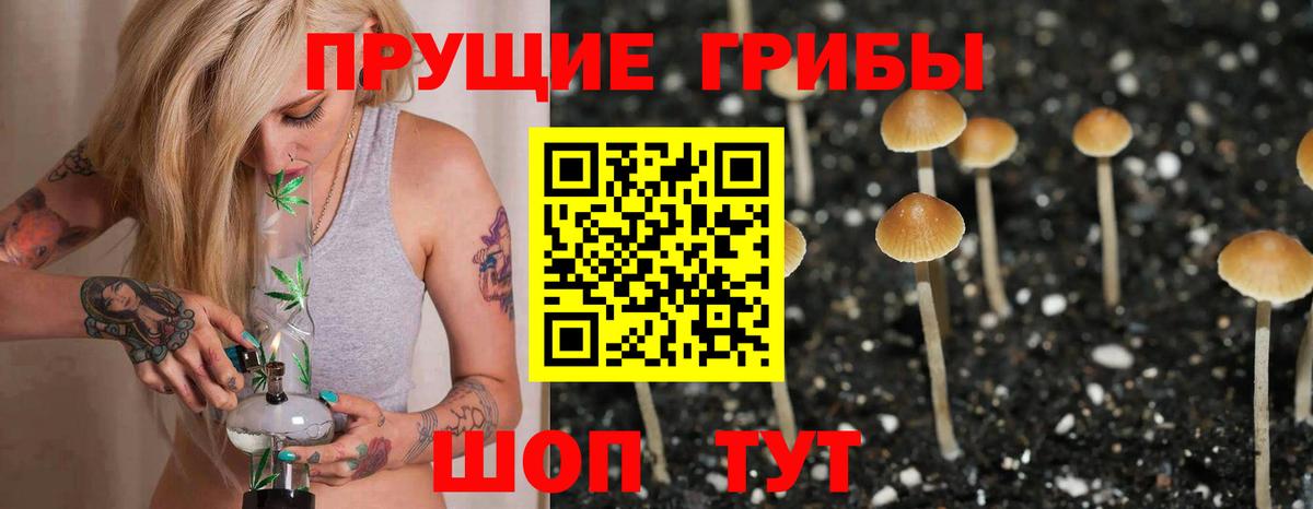 как найти закладки  Галлюциногенные грибы ЛСД  Вход с VPN  Псилоцибиновые грибы Cubensis  Вольск 